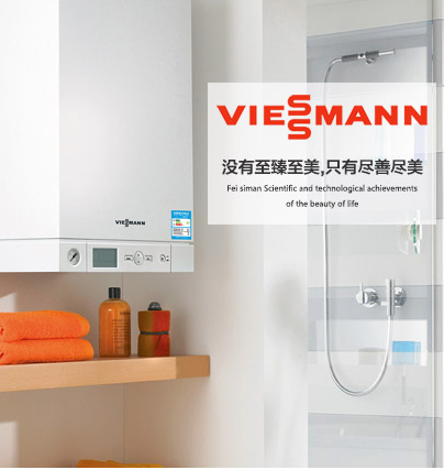 ����˹��ԭ�b�M���p���������ڒ�偠tVitodens 100-W(WB1C)